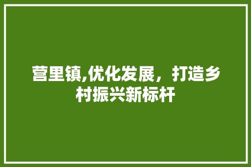 营里镇,优化发展，打造乡村振兴新标杆