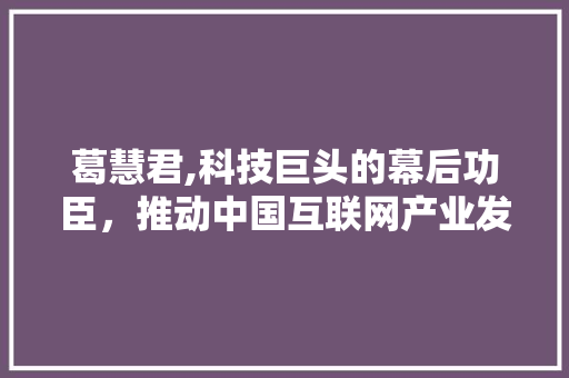 葛慧君,科技巨头的幕后功臣，推动中国互联网产业发展的领航者