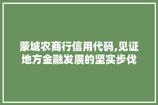 蒙城农商行信用代码,见证地方金融发展的坚实步伐