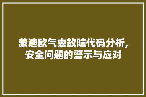 蒙迪欧气囊故障代码分析,安全问题的警示与应对