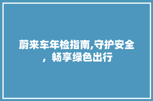 蔚来车年检指南,守护安全，畅享绿色出行