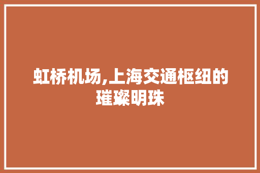 虹桥机场,上海交通枢纽的璀璨明珠