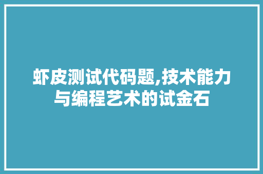 虾皮测试代码题,技术能力与编程艺术的试金石