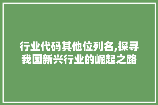 行业代码其他位列名,探寻我国新兴行业的崛起之路