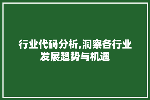 行业代码分析,洞察各行业发展趋势与机遇