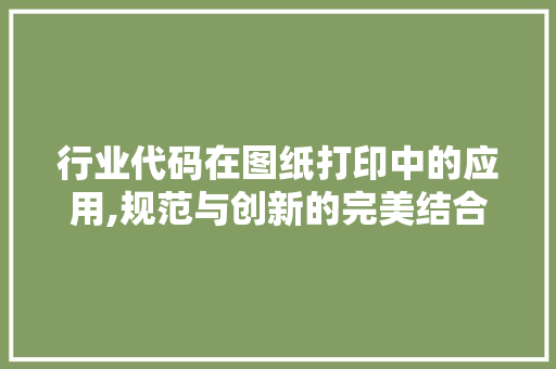 行业代码在图纸打印中的应用,规范与创新的完美结合