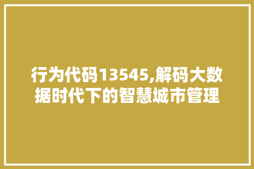 行为代码13545,解码大数据时代下的智慧城市管理