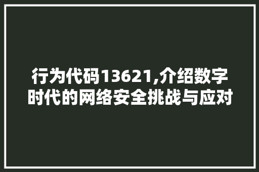 行为代码13621,介绍数字时代的网络安全挑战与应对步骤