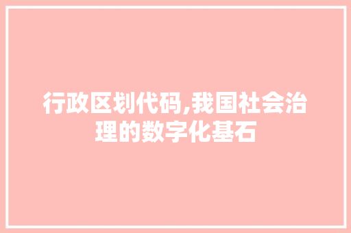 行政区划代码,我国社会治理的数字化基石