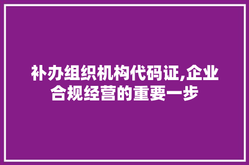 补办组织机构代码证,企业合规经营的重要一步