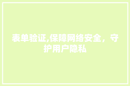 表单验证,保障网络安全，守护用户隐私