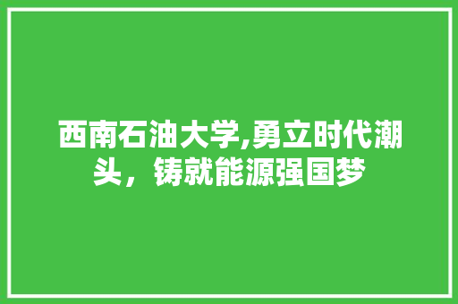 西南石油大学,勇立时代潮头，铸就能源强国梦