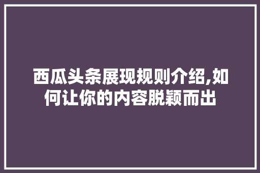 西瓜头条展现规则介绍,如何让你的内容脱颖而出