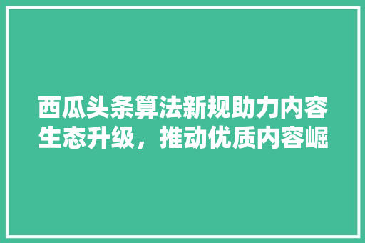 西瓜头条算法新规助力内容生态升级，推动优质内容崛起