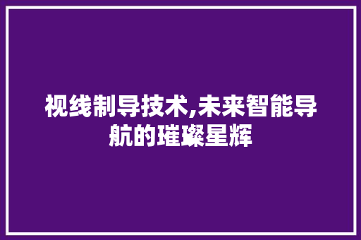 视线制导技术,未来智能导航的璀璨星辉