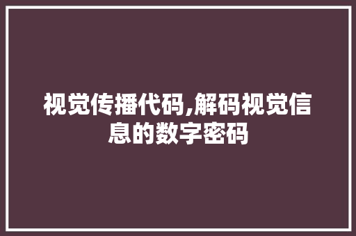 视觉传播代码,解码视觉信息的数字密码