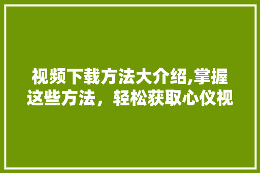 视频下载方法大介绍,掌握这些方法，轻松获取心仪视频！