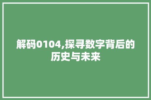 解码0104,探寻数字背后的历史与未来