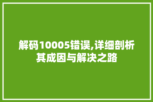 解码10005错误,详细剖析其成因与解决之路