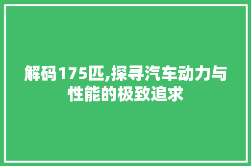 解码175匹,探寻汽车动力与性能的极致追求