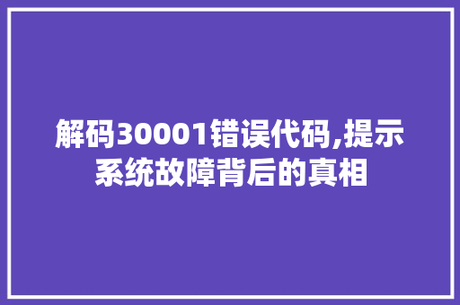 解码30001错误代码,提示系统故障背后的真相