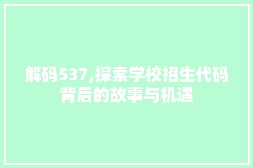 解码537,探索学校招生代码背后的故事与机遇