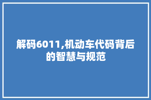 解码6011,机动车代码背后的智慧与规范