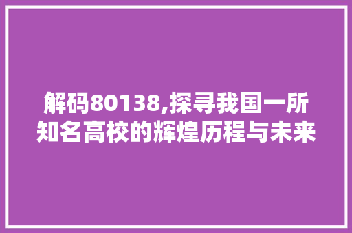 解码80138,探寻我国一所知名高校的辉煌历程与未来展望