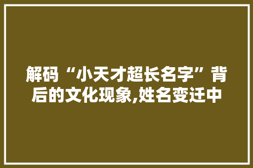 解码“小天才超长名字”背后的文化现象,姓名变迁中的个性张扬与文化传承