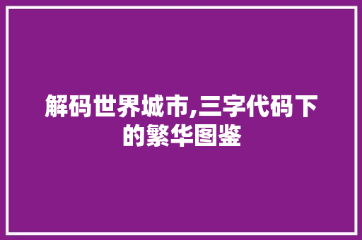 解码世界城市,三字代码下的繁华图鉴