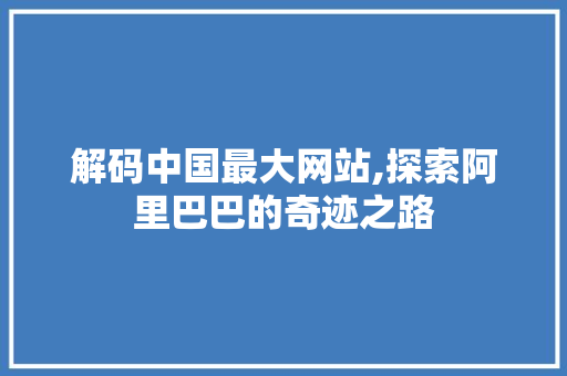 解码中国最大网站,探索阿里巴巴的奇迹之路