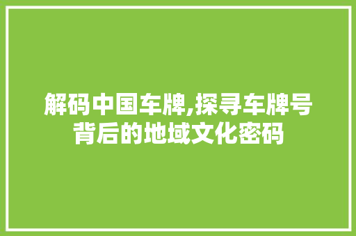 解码中国车牌,探寻车牌号背后的地域文化密码