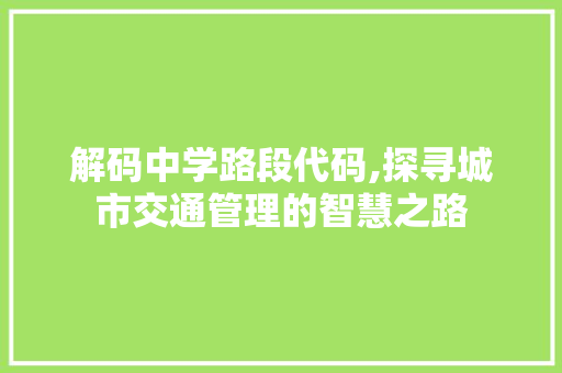 解码中学路段代码,探寻城市交通管理的智慧之路