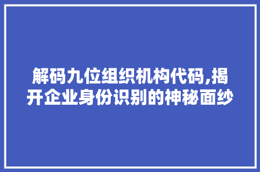 解码九位组织机构代码,揭开企业身份识别的神秘面纱