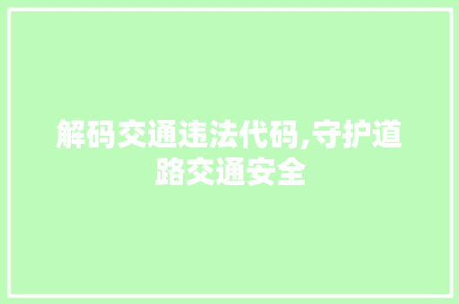 解码交通违法代码,守护道路交通安全