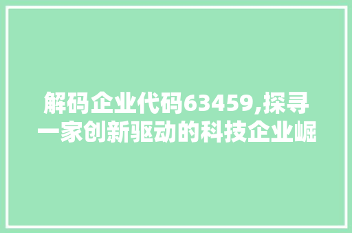 解码企业代码63459,探寻一家创新驱动的科技企业崛起之路