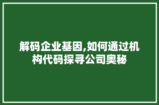 解码企业基因,如何通过机构代码探寻公司奥秘