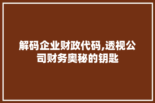 解码企业财政代码,透视公司财务奥秘的钥匙