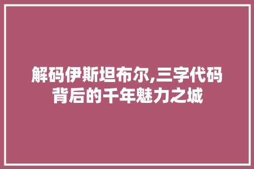 解码伊斯坦布尔,三字代码背后的千年魅力之城