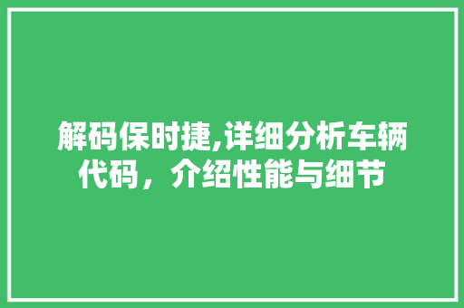 解码保时捷,详细分析车辆代码，介绍性能与细节