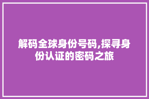 解码全球身份号码,探寻身份认证的密码之旅