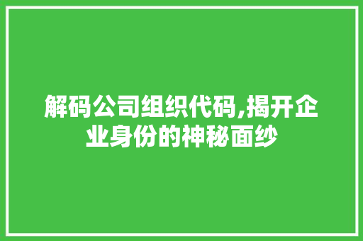 解码公司组织代码,揭开企业身份的神秘面纱