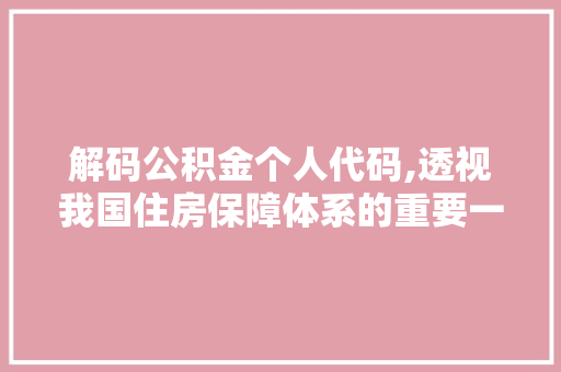 解码公积金个人代码,透视我国住房保障体系的重要一环