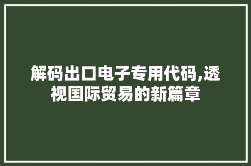 解码出口电子专用代码,透视国际贸易的新篇章