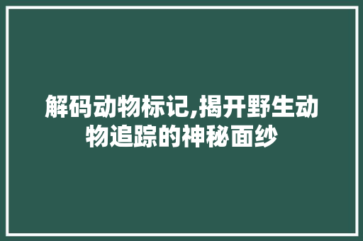 解码动物标记,揭开野生动物追踪的神秘面纱