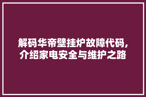 解码华帝壁挂炉故障代码,介绍家电安全与维护之路