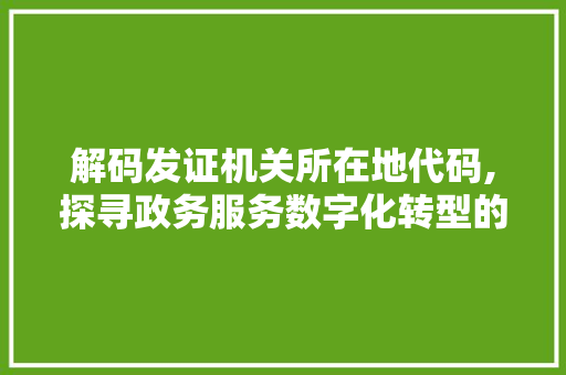 解码发证机关所在地代码,探寻政务服务数字化转型的奥秘