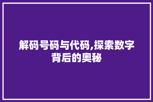 解码号码与代码,探索数字背后的奥秘