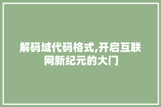 解码域代码格式,开启互联网新纪元的大门