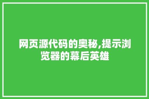 网页源代码的奥秘,提示浏览器的幕后英雄